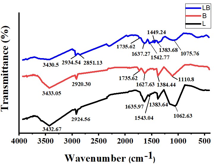  FT-IR spectrum of TiO2 NPs.