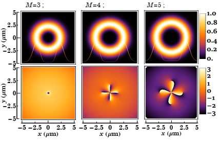The contour plots of the normalized radial intensity