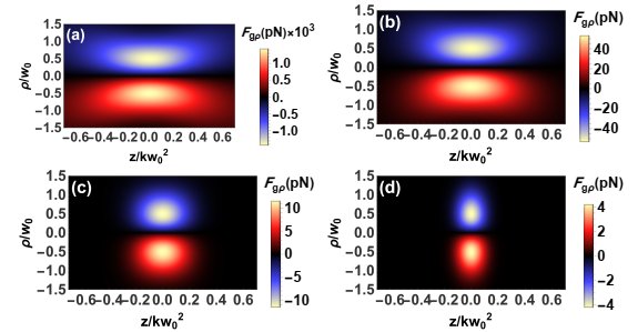 For the transverse gradient force F gρ, 