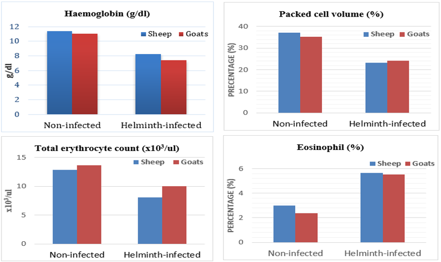 Abdulraqeb Ali Alshami et al. Table 2. Mean ± S.D values of haematological parameters in helminth-infected and non-infected sheep and goats Parameters Sheep Goats Non-infected (n=20) Helminth-infected (n=59) Non-infected (n=20) Helminth-infected (n=41) Hb (g/dl) 11.36±0.02 8.24±0.35* 11.03±1.23 7.39±1.18* PCV (%) 37.16±1.14 23.21±1.10* 35.19±1.16 24.18±0.62* ESR (mm/hr) 0.29±0.52 0.28±0.39 0.28±0.43 0.28±0.47 TEC (x106/ul) 12.85±0.17 8.11±0.19* 13.69±0.37 9.02±0.24* TLC (x103/ul) 8.04±0.70 9.01±0.64 9.11±0.41 10.07±0.12 Neutrophil (%) 34.18±0.76 36.84±0.25 32.41±0.48 34.54±1.36 Lymphocyte (%) 49.61±0.82 51.24±0.91 51.63±0.89 53.66±1.02 Monocyte (%) 3.11±0.79 2.96±0.41 2.84±0.35 2.92±0.43 Eosinophil (%) 3.01±0.38 5.64±0.41* 2.39±0.31 5.52±0.49* Basophil (%) 0.37±0.63 0.22±0.49 0.43±0.57 0.29±0.13 *Values with an asterisk within the same raw are statistically significant (P<0.05). Figure 1. Comparison of Haematologrical Parameters in Helminth-infected and Non-infected Sheep and Goats