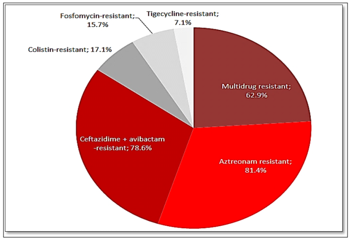 Normalized intensity and the phase distribution